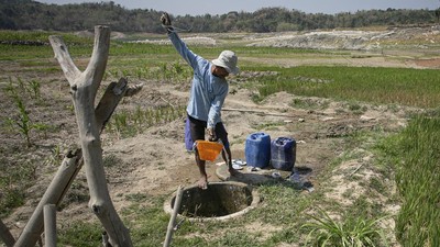 Prediksi Musim Kemarau 2025: Lebih Singkat, Tapi Tetap Waspadai Dampaknya