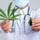 Manfaat Ganja Medis bagi Kesehatan dan Dampak Negatifnya pada Tubuh
