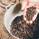 6 Manfaat Kopi Arabika Bagi Kesehatan Tubuh: Rahasia Sehat di Balik Nikmatnya Secangkir Kopi