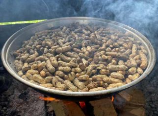 12 Manfaat Kacang Tanah Rebus untuk Kesehatan: Camilan Murah dengan Khasiat Luar Biasa