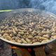 12 Manfaat Kacang Tanah Rebus untuk Kesehatan: Camilan Murah dengan Khasiat Luar Biasa